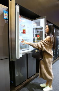 高端家電逆勢(shì)增長(zhǎng) 供需失衡下的市場(chǎng)突圍與軟件開發(fā)賦能