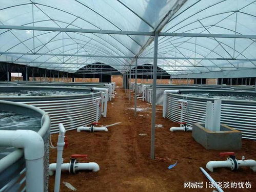 攜手長辰漁業 探索工廠化養殖的變革之路與核心技術發展